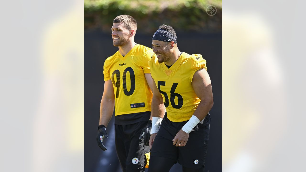 Total Sports Enterprises on X: If Alex Highsmith gets a sack and the  Steelers beat the Texans today, we'll give an Alex Highsmith autographed  jersey to someone who reposts this post and