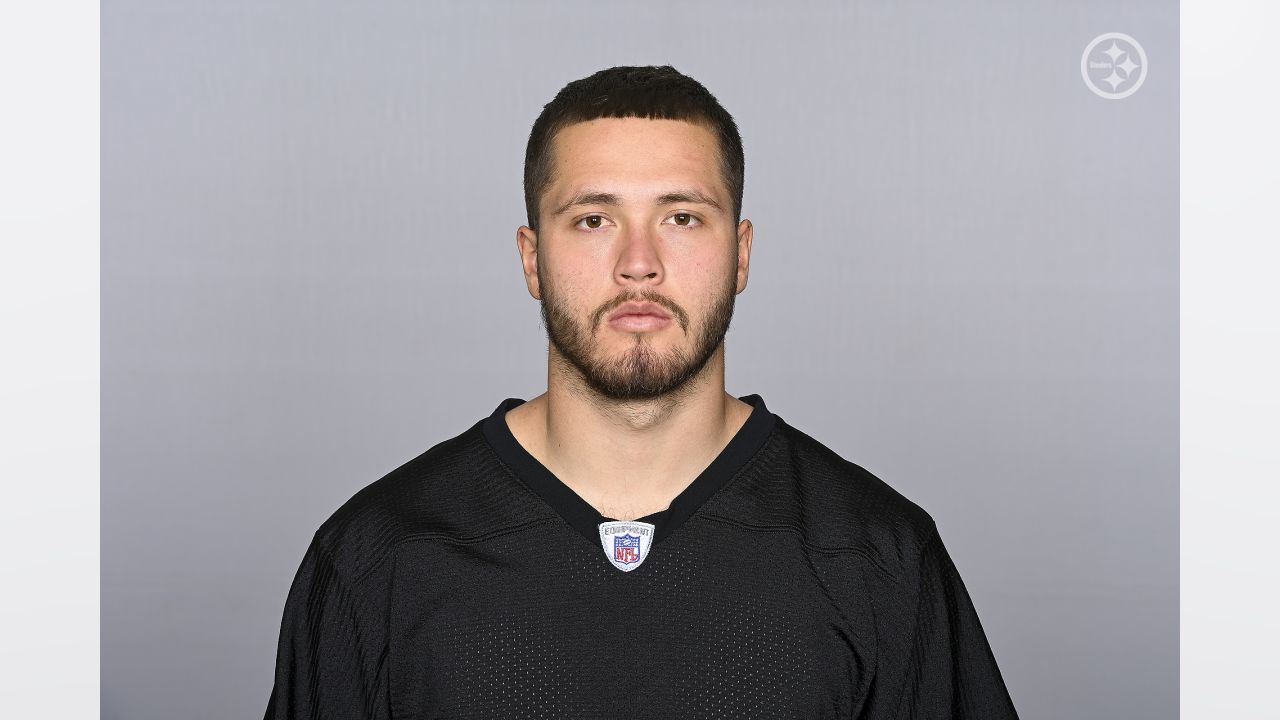 Steelers officially sign LB Nick Kwiatkoski, release WR Anthony