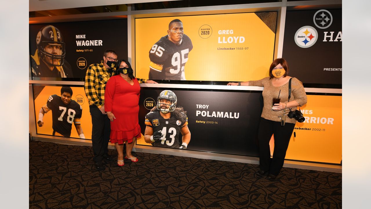 Steelers add Troy Polamalu, Dwight White, Greg Lloyd, James