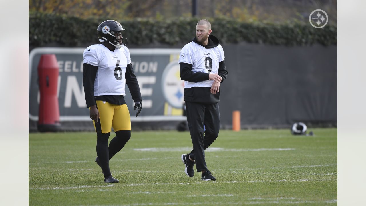 Steelers notes: Pressley Harvin III happy to have rare company among NFL  punters