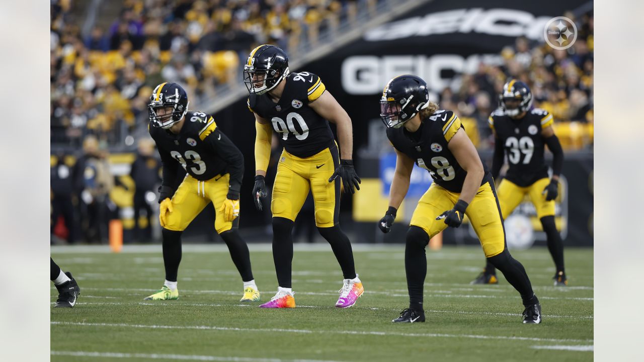 Classic Rivalry Finish to Thanksgiving Night! (Steelers vs. Ravens 2013,  Week 13) 