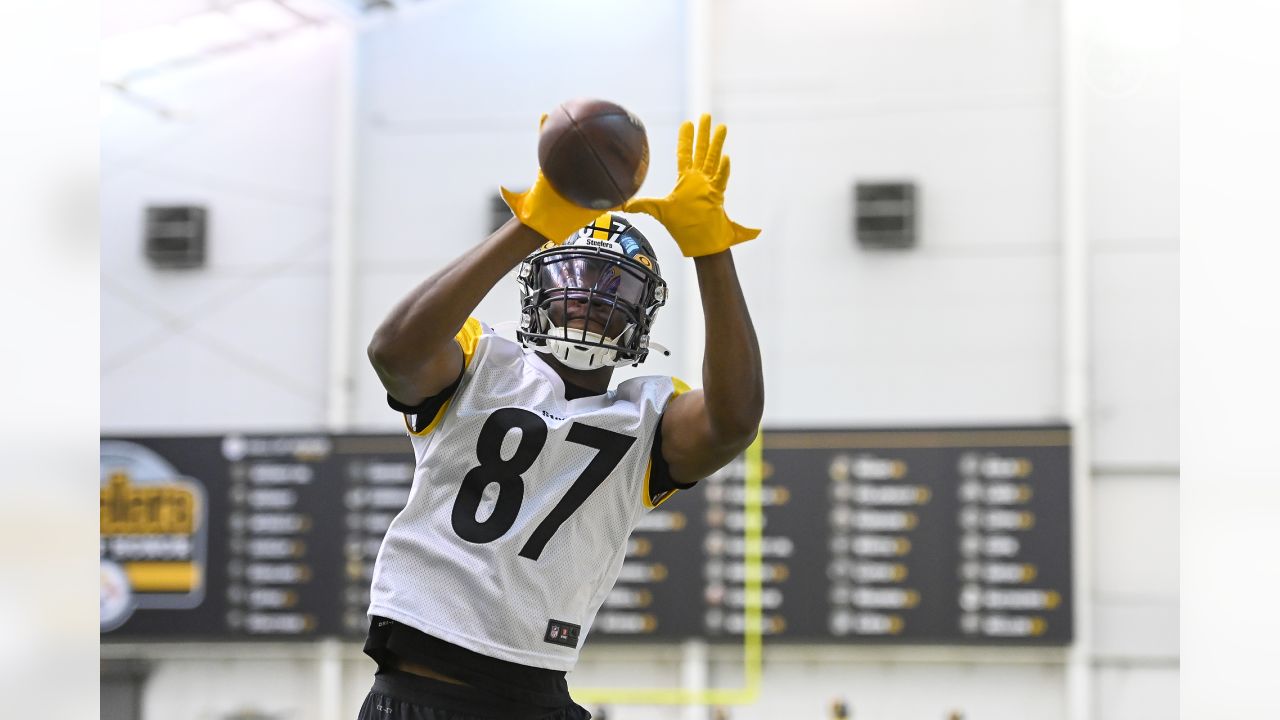 Pittsburgh Steelers tight end Connor Heyward dives to secure 16-yard pass  from quarterback Mitch Trubisky