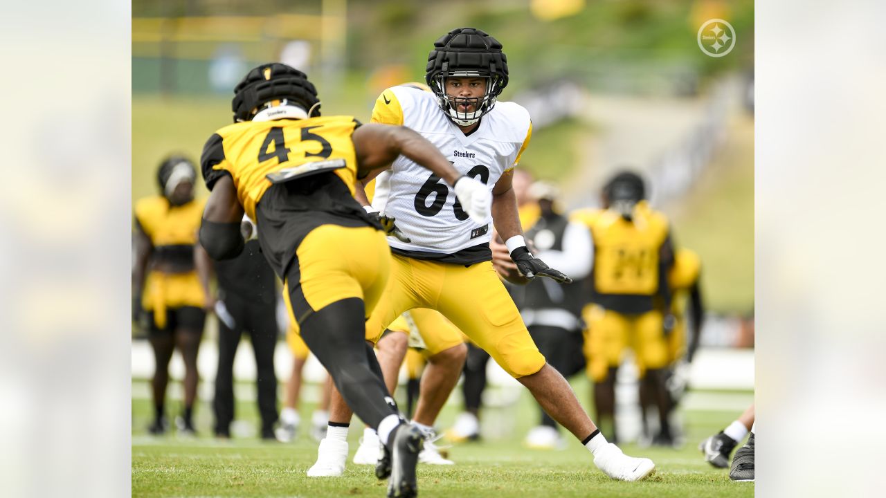 Pittsburgh Steelers offensive tackle Dylan Cook (60) protects the