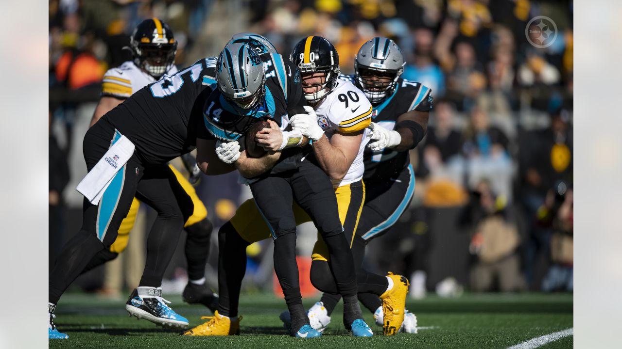 4,548 Panthers Steelers Stock Photos, High-Res Pictures, and