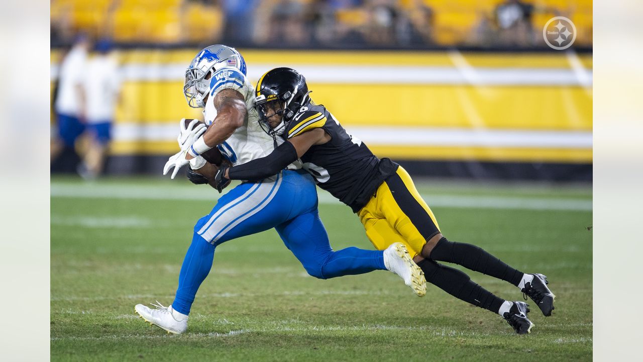 2,960 Lions Steelers Stock Photos, High-Res Pictures, and Images