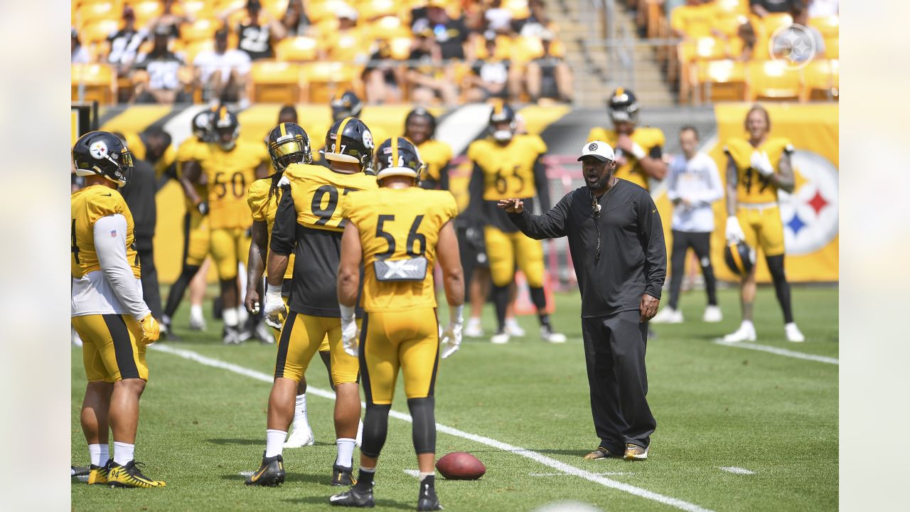 Steelers Virtual Camp Press Conference (July 28): Alex Highsmith