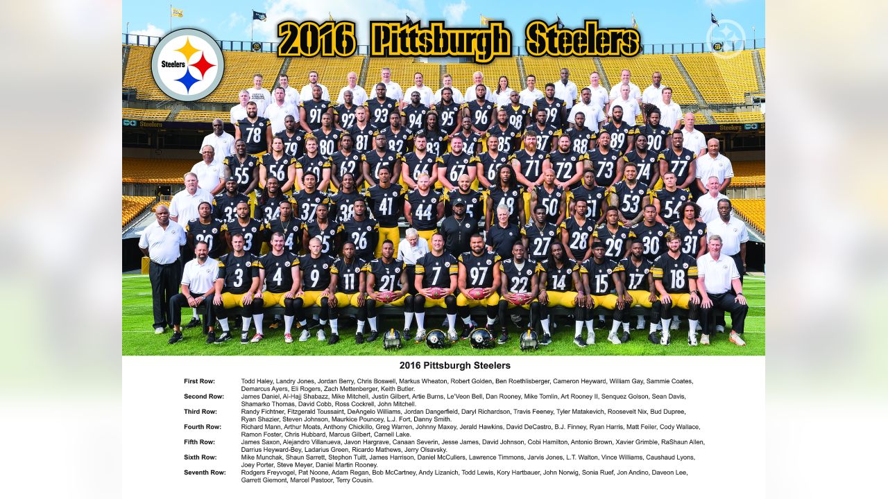 1989  PITTSBURGH STEELERS  TEAM PHOTO 8 1/2" X 11" 