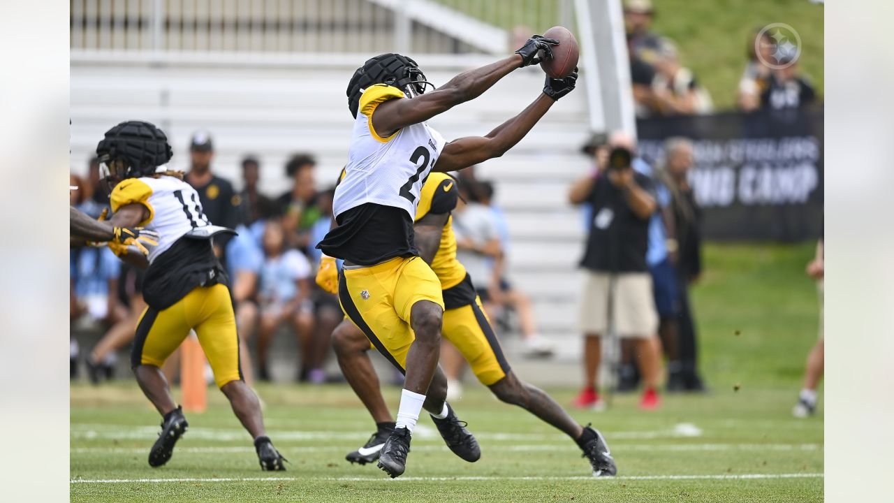 Pittsburgh Steelers fullback Derek Watt (44) during an NFL football  training camp practice, Monday, Aug. 24, 2020, in Pittsburgh. (AP  Photo/Keith Srakocic Stock Photo - Alamy