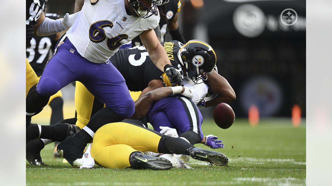 Thanksgiving Day NFL Open Thread - Steelers vs. Ravens - Dawgs By Nature