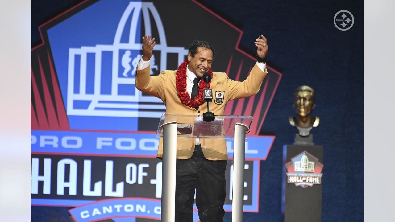 TROY POLAMALU: Former Pittsburgh Steelers star is a finalist for Pro  Football Hall of Fame Class of 2020