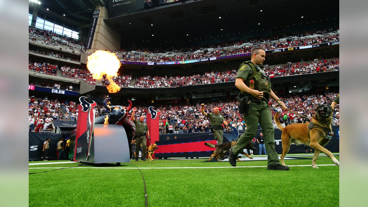 Up to 13,300 fans welcome at NRG on Oct 4 for Texans home game. Here's what  it will look like.