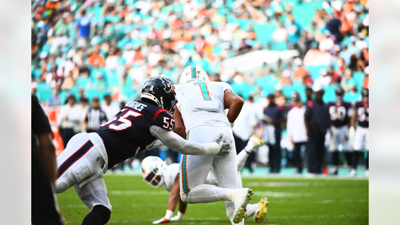 Miami Dolphins defeat Houston Texans 28-3 during preseason game in Lone  Star State - CBS Miami