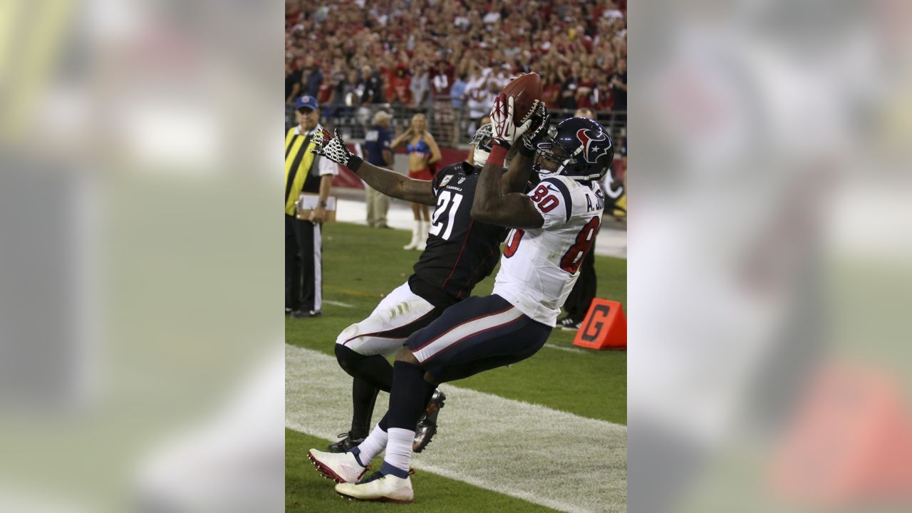 In his first year of eligibility, former Houston Texans WR Andre Johnson  has been named a finalist for the Pro Football Hall of Fame.