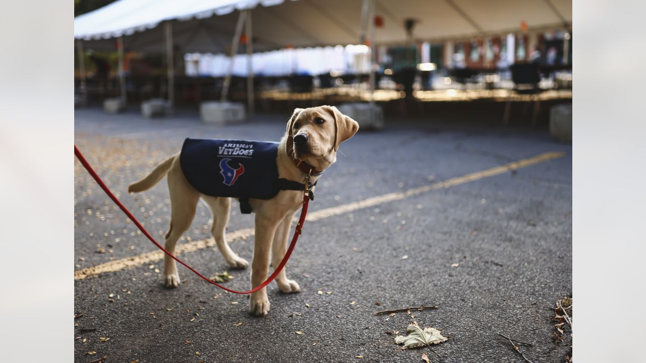 Houston Texans' puppy finally has a name after fan votes