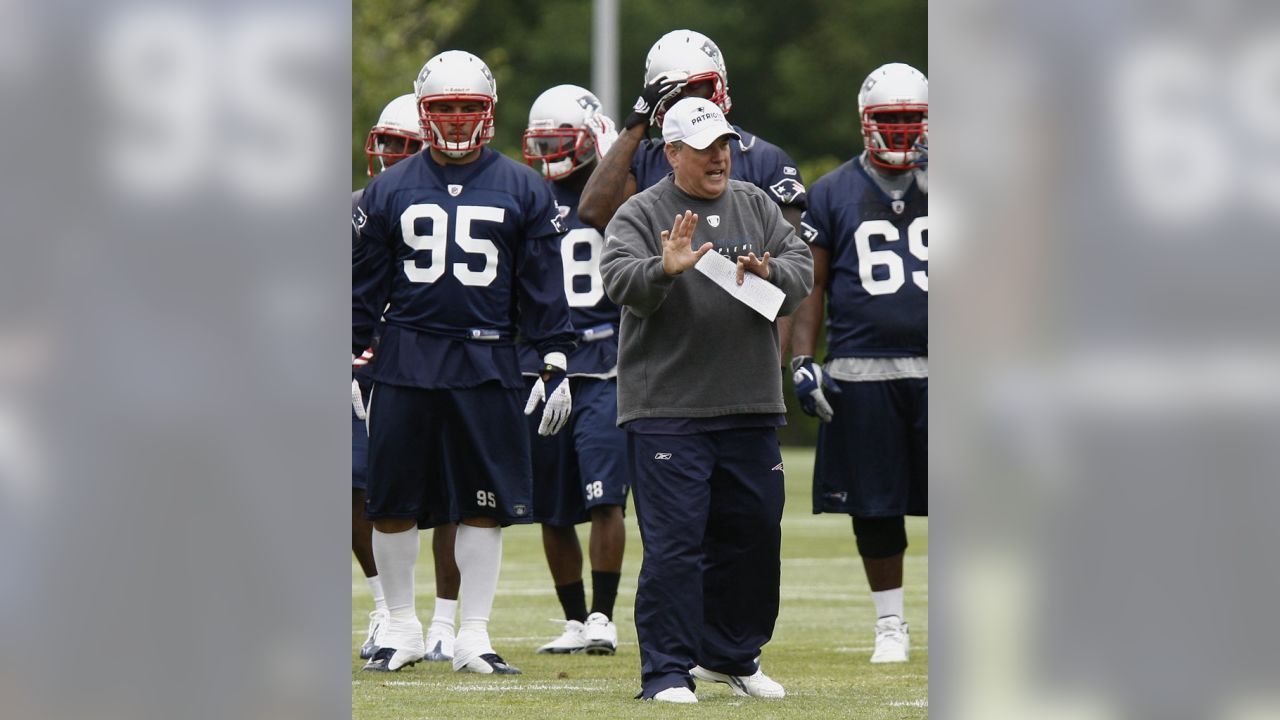 Tedy Bruschi Sheds Insight on Titans HC Mike Vrabel, DC Pees