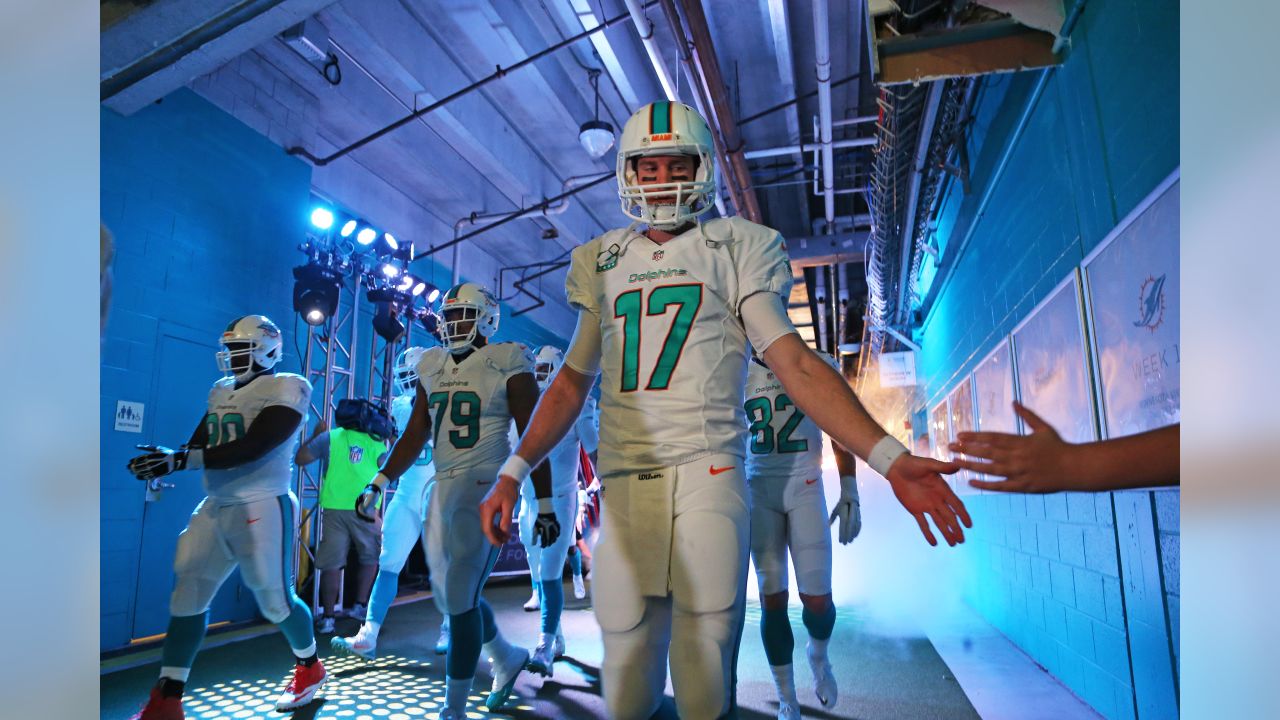 Sep 7, 2014; Miami Gardens, FL, USA; Miami Dolphins defensive