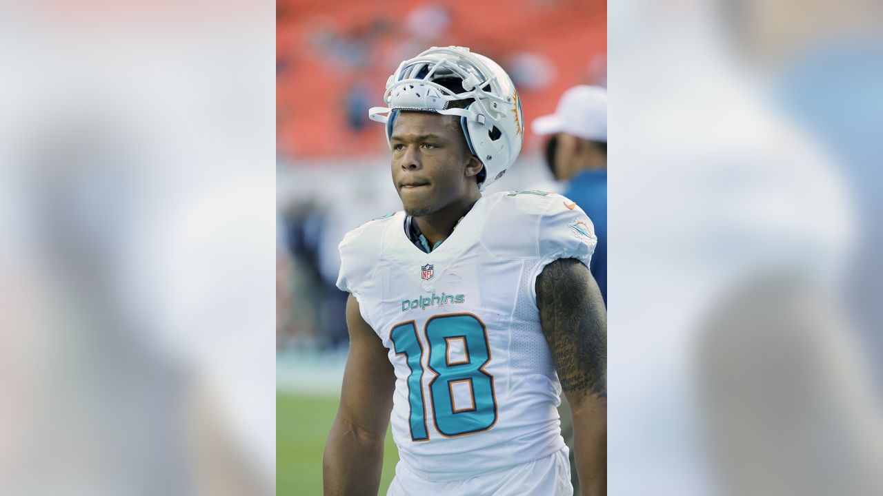 Tennessee Titans: Rishard Matthews released after asking to be let go