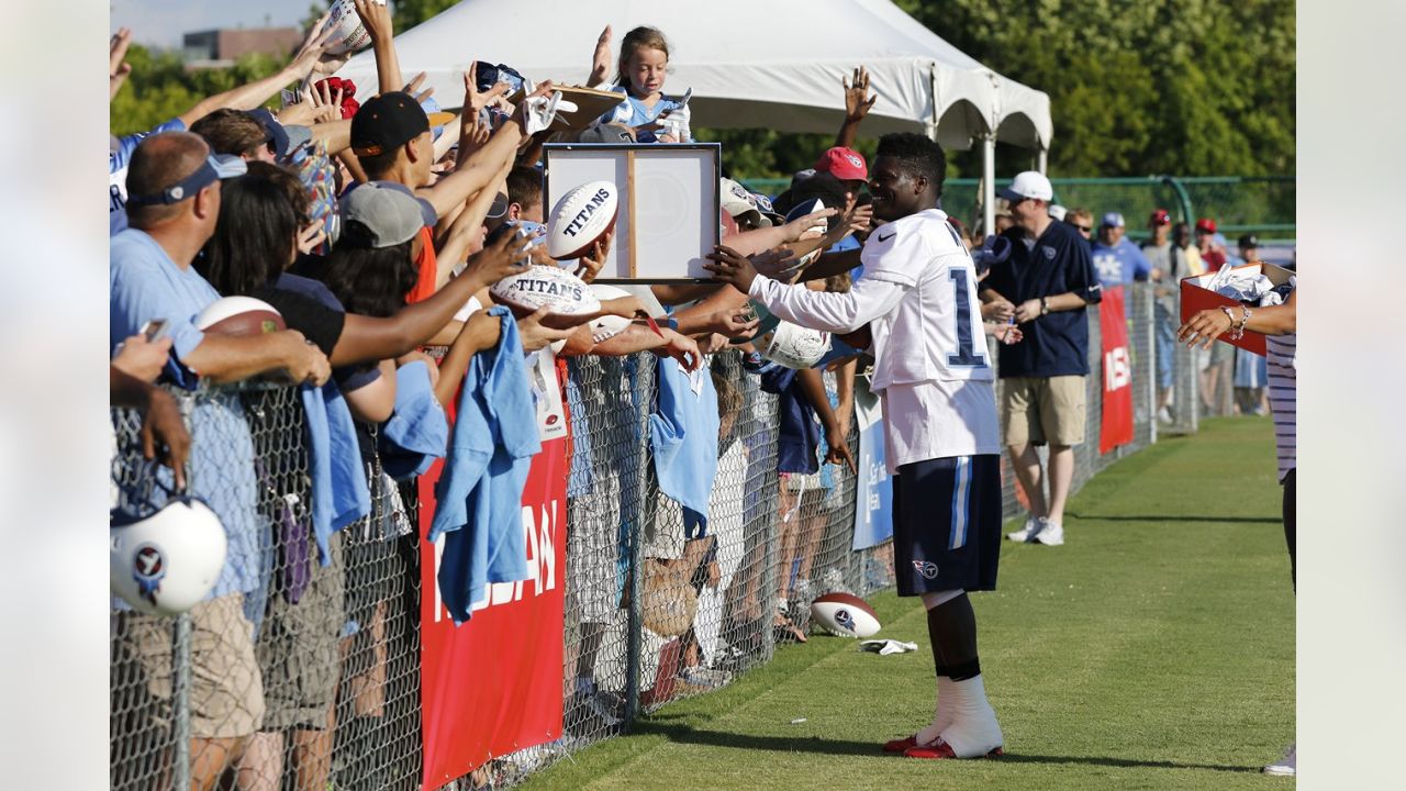 Titans' Hakeem Nicks seeks return to glory days