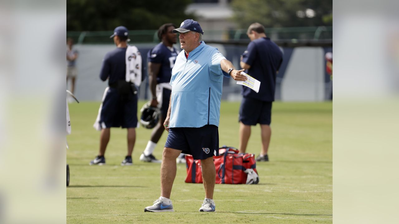 Tedy Bruschi Sheds Insight on Titans HC Mike Vrabel, DC Pees