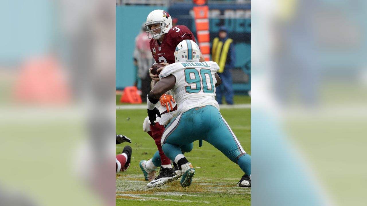 South Florida Sun Sentinel on X: Tennessee Titans waive former Miami  Dolphins star Cameron Wake    / X