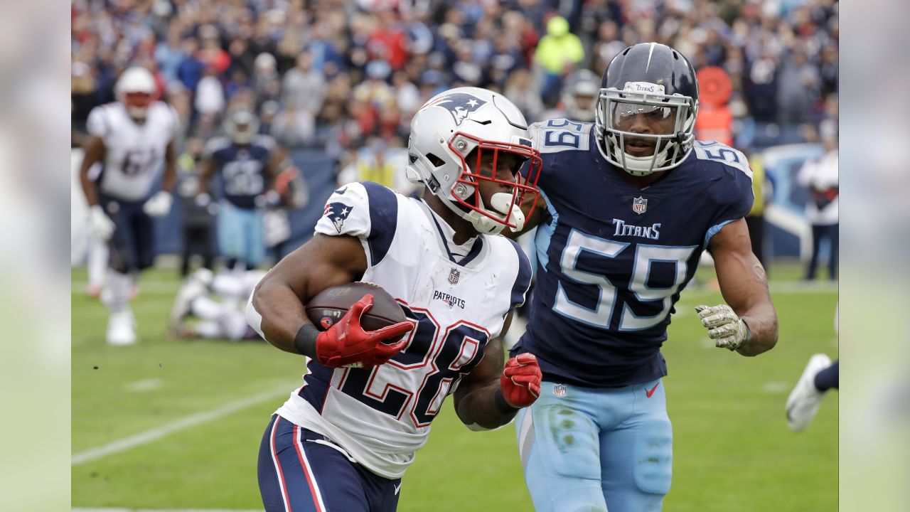 James White New England Patriots Unsigned Horizontal Super Bowl LI  Touchdown Photograph