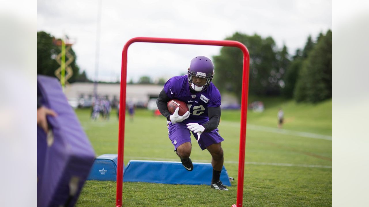 Minnesota Vikings: John Randle sees himself in Everson Griffen