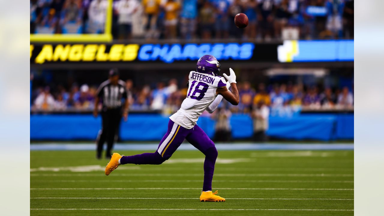 Vikings Snap Counts: Ham makes impact in limited role against Bills North  News - Bally Sports