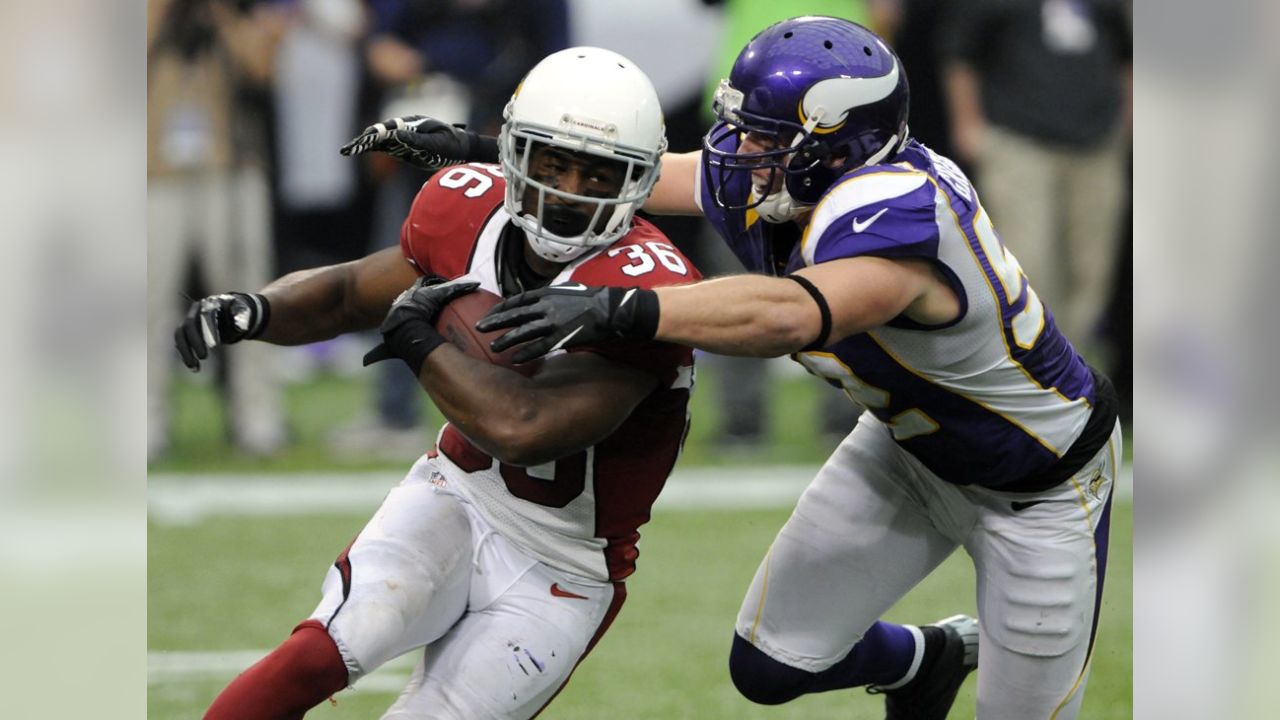 Cardinals Vikings Football, National Sports