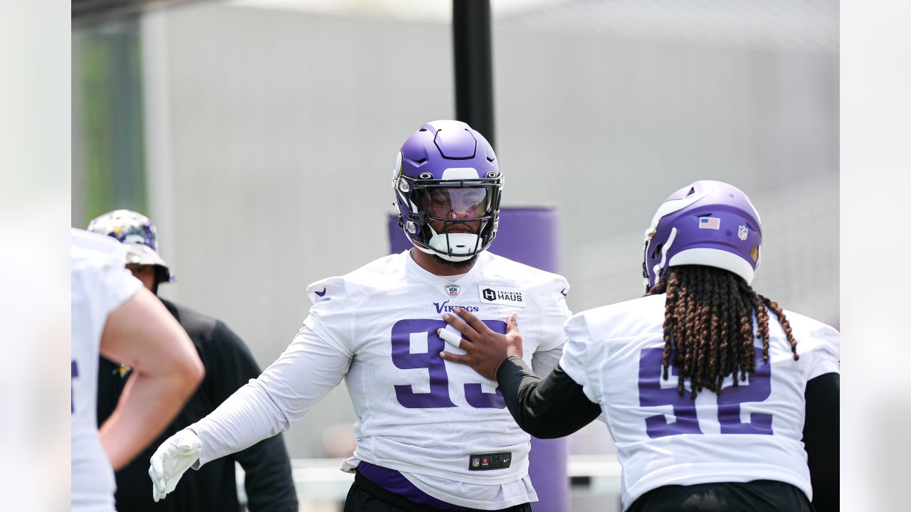 Brian Flores' Scheme Will Drive Minnesota Vikings' Defense Up The Ladder In  2023