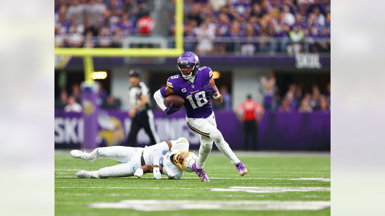 Vikings fans enjoy 'Snow Bowl,' despite frigid loss