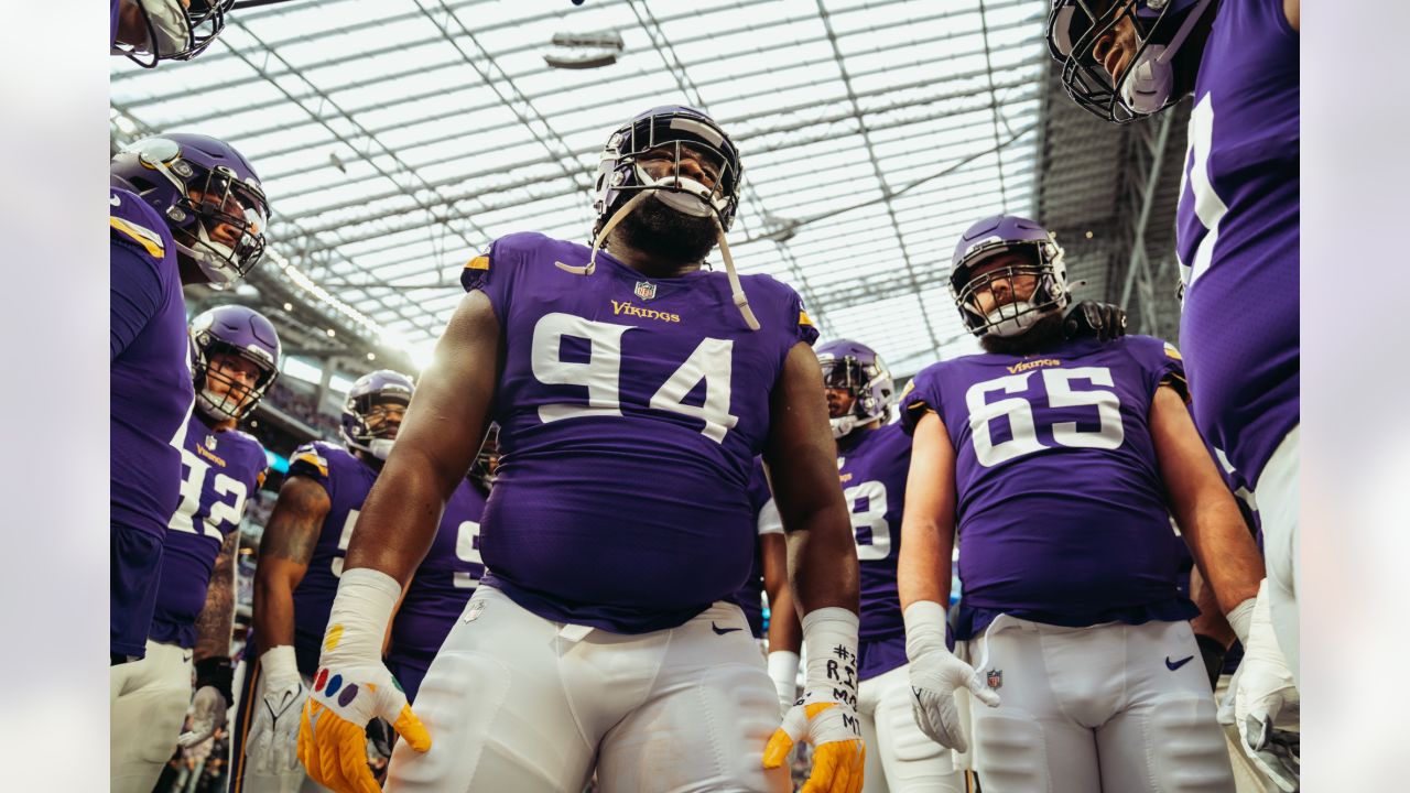 2017 Vikings Position Recap: Defensive Line