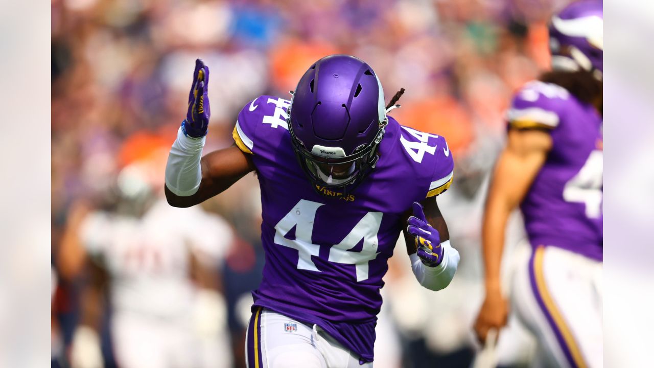 minnesota vikings number 44