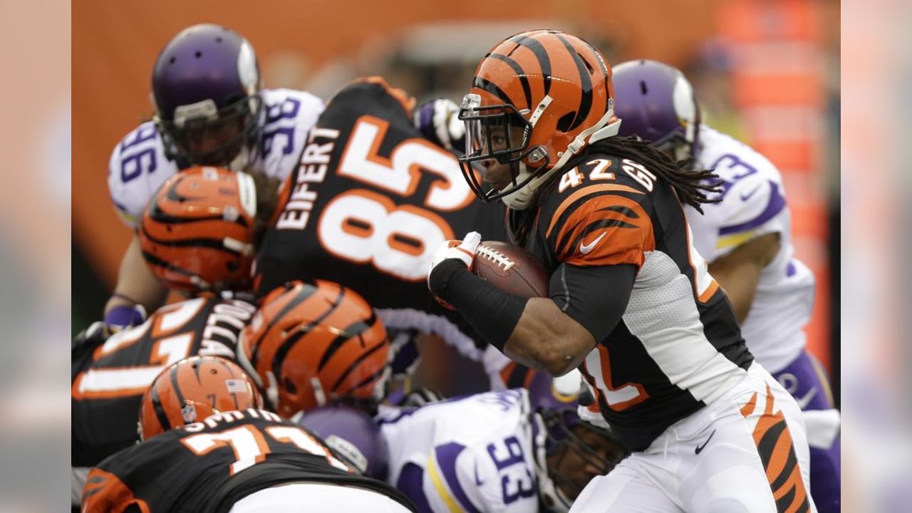 5 Vikings-Bengals Storylines