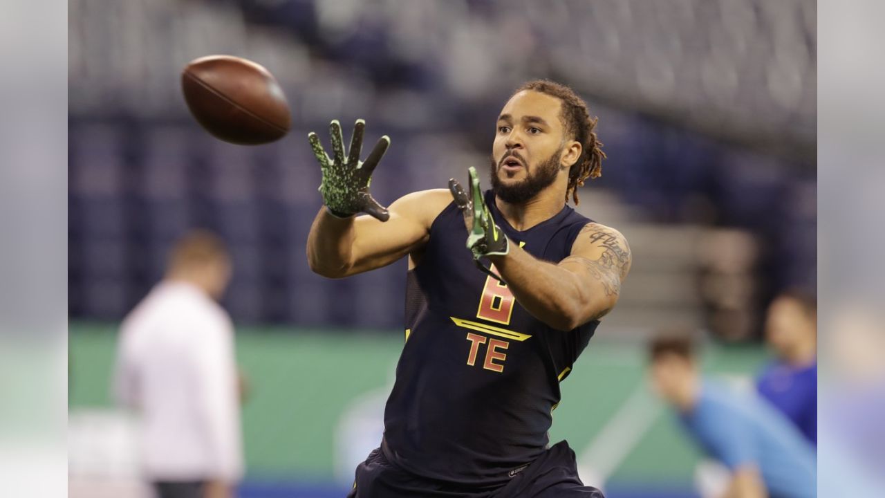 Ambitious Vikings tight end Bucky Hodges to wear No. 84