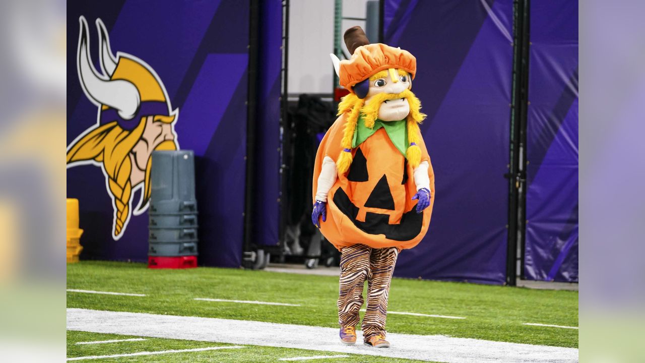 5 Funny Minnesota Vikings Halloween Costume Ideas - Vikings Territory