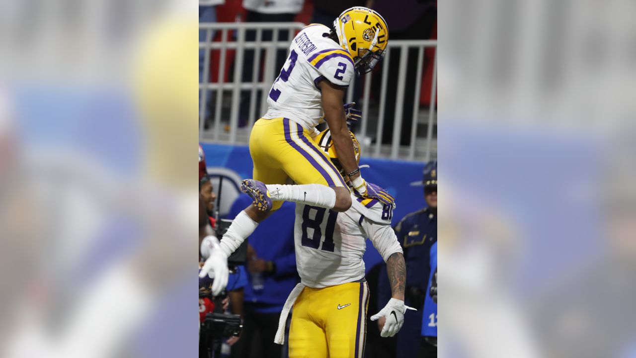 Thaddeus Moss: 5 facts about the LSU football tight end