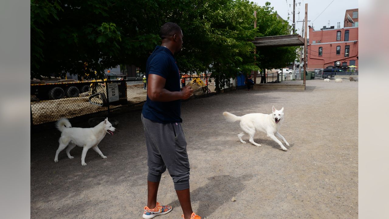 D.J. Wonnum's Dog Simba on Purple Pups