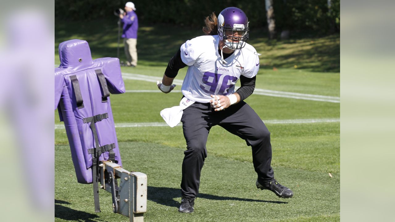 Brian Robison - Minnesota Vikings Defensive End - ESPN