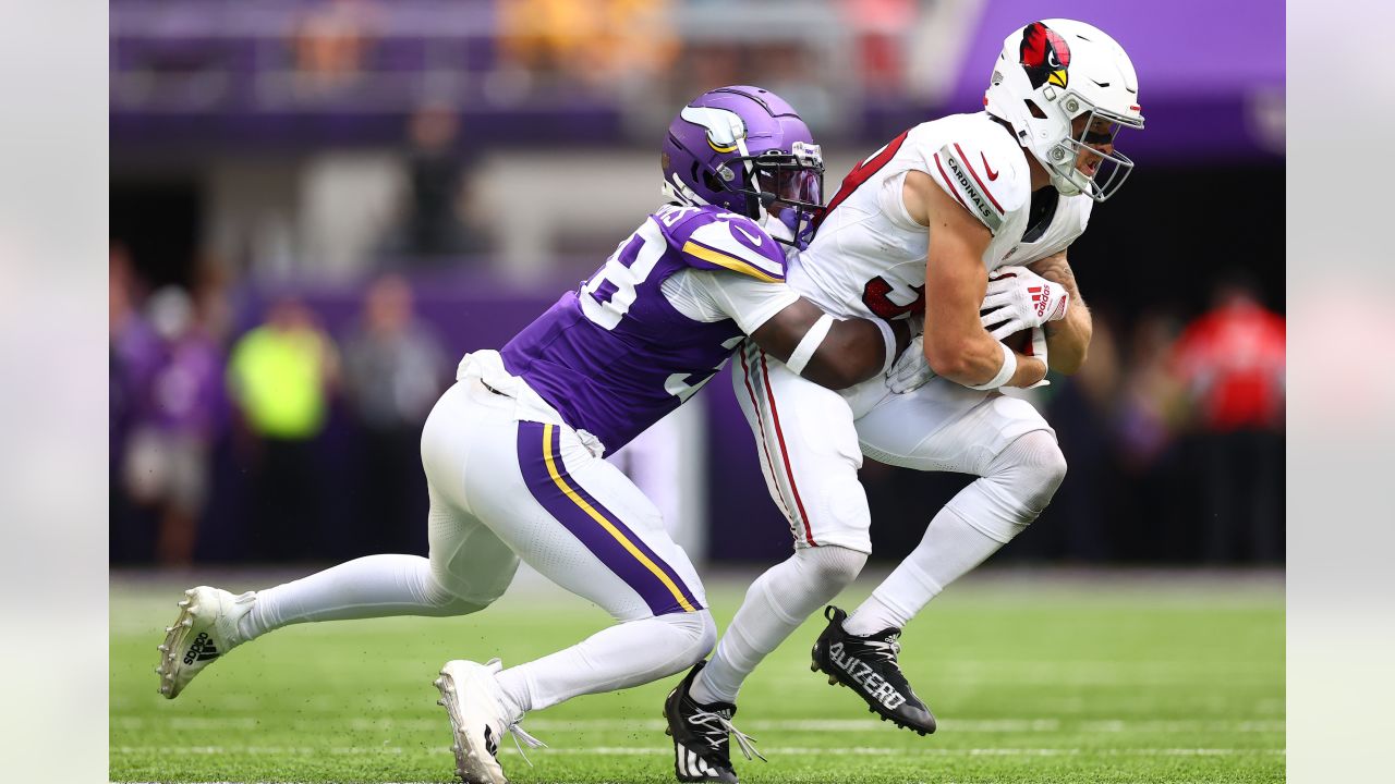 Vikings lose final preseason game to Cardinals