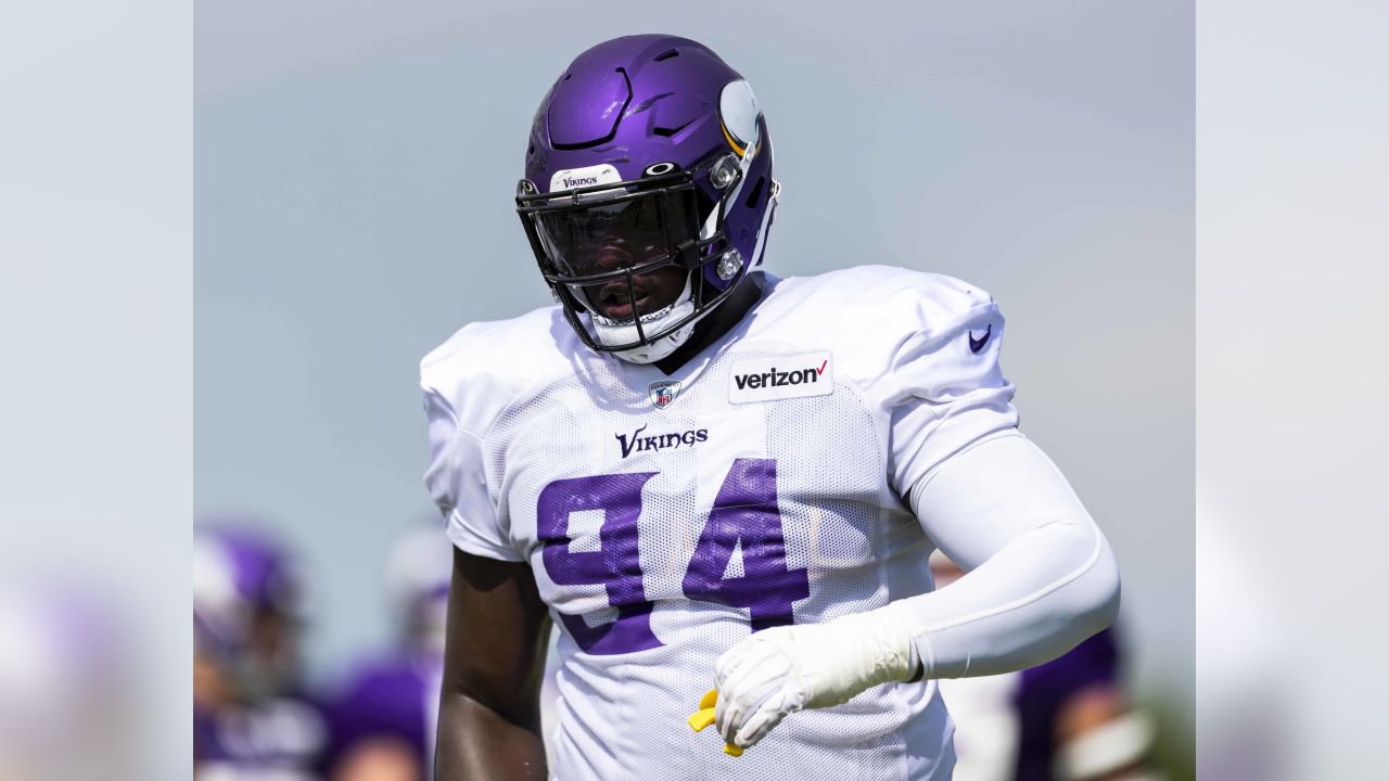 After playing sparingly at defensive tackle, Vikings' Jalyn Holmes