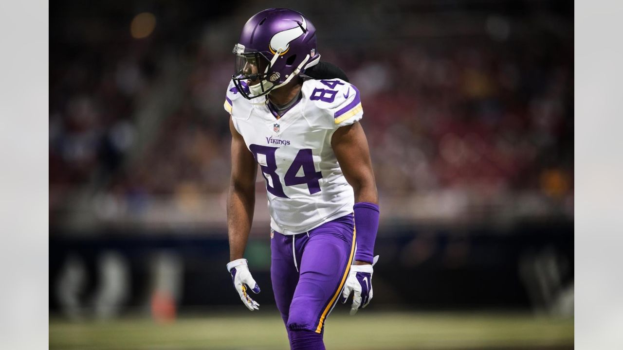 Minnesota Vikings quarterback Sage Rosenfels sets up to pass the football  in the first quarter against the St. Louis Rams in pre-season play at the  Edward Jones Dome in St. Louis on