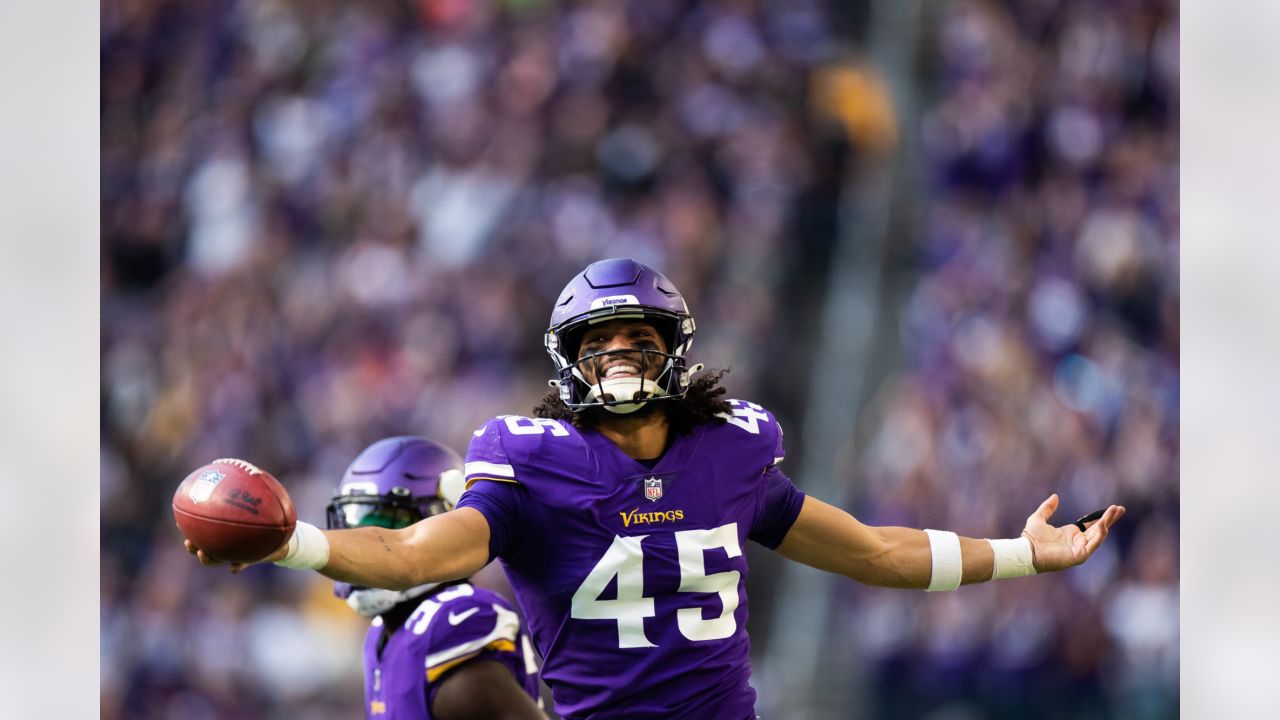 The future of the Vikings, Part 6: Linebackers and safeties