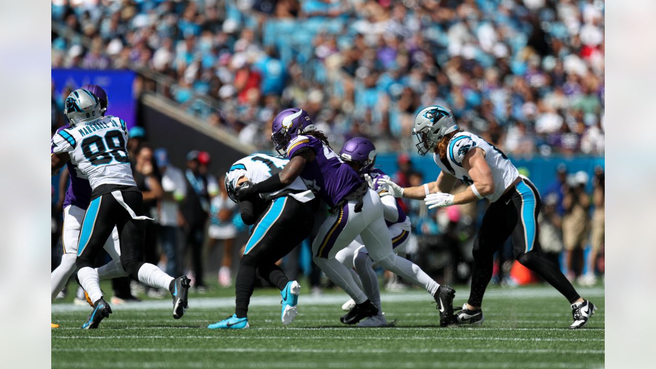 Vikings at Panthers Game Observations