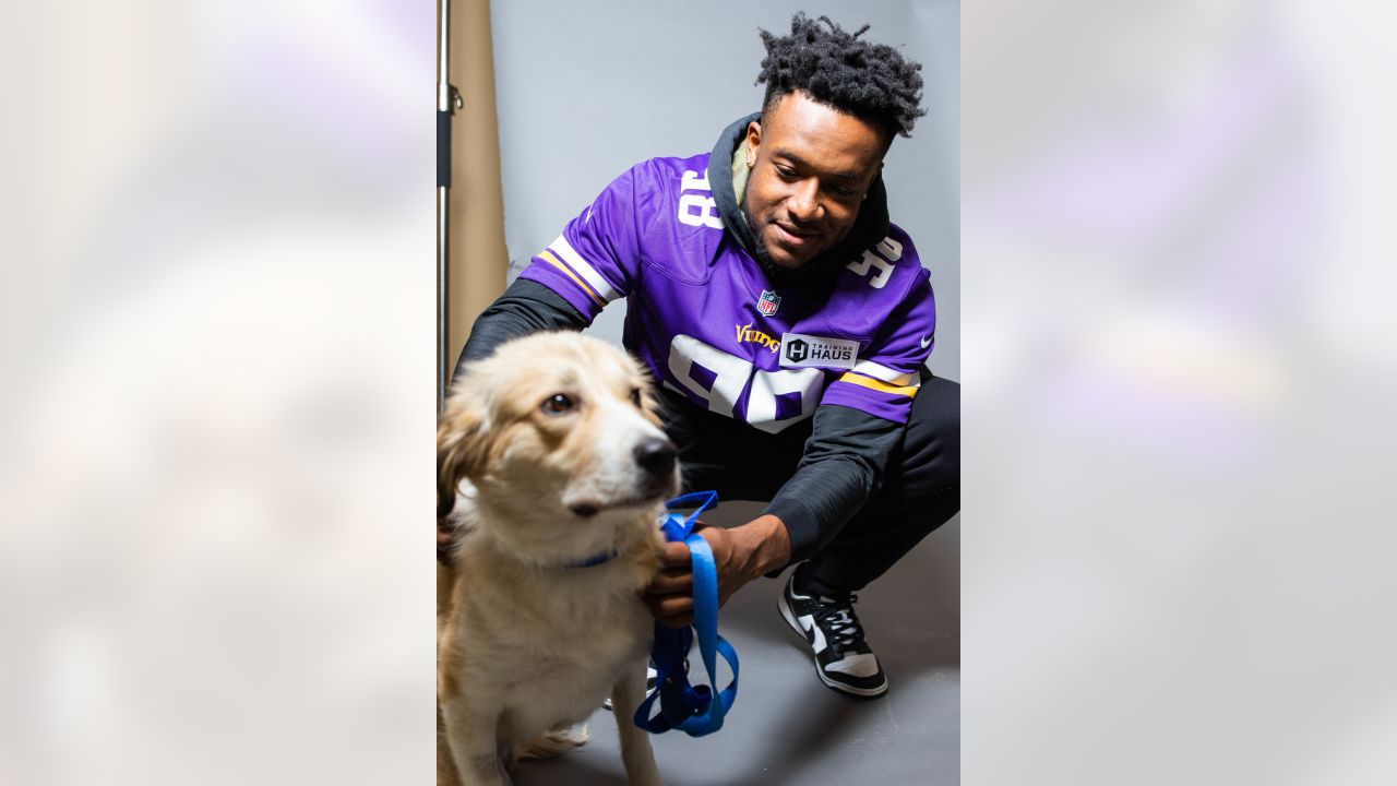 vikings dog jersey