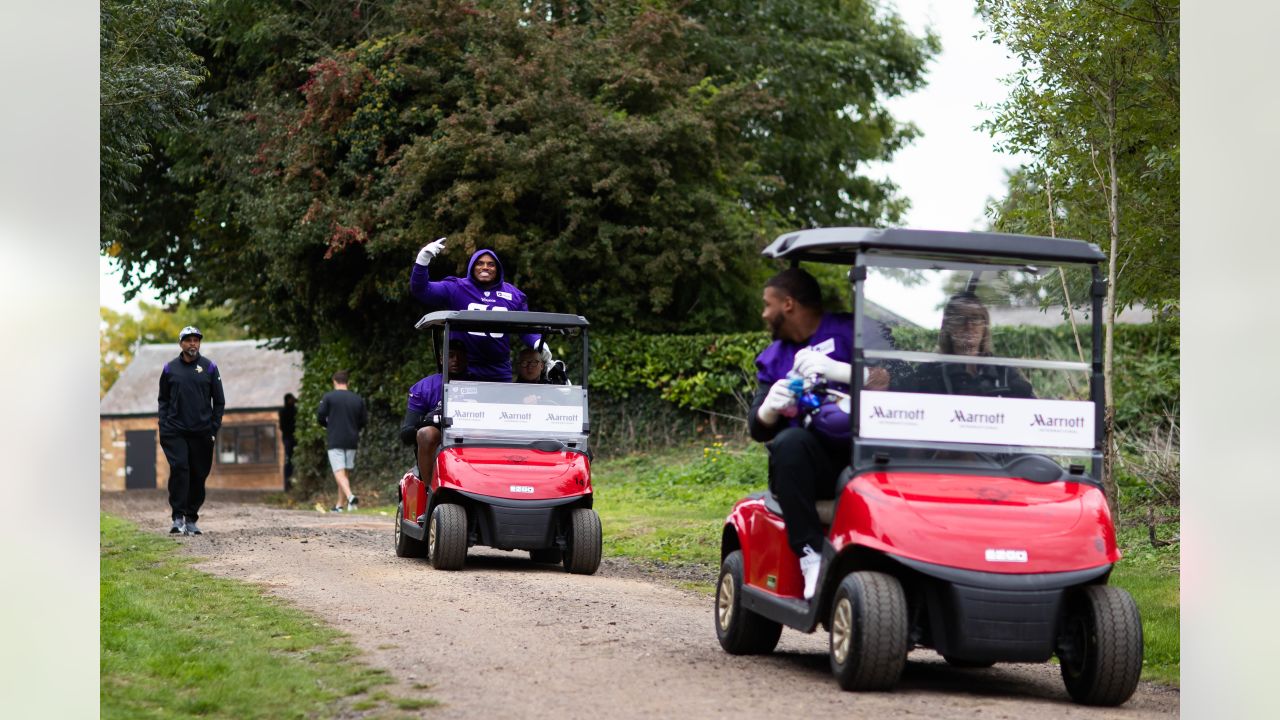 Minnesota Vikings Golf Cart Flag your Minnesota Vikings Golf Cart Flags  Source