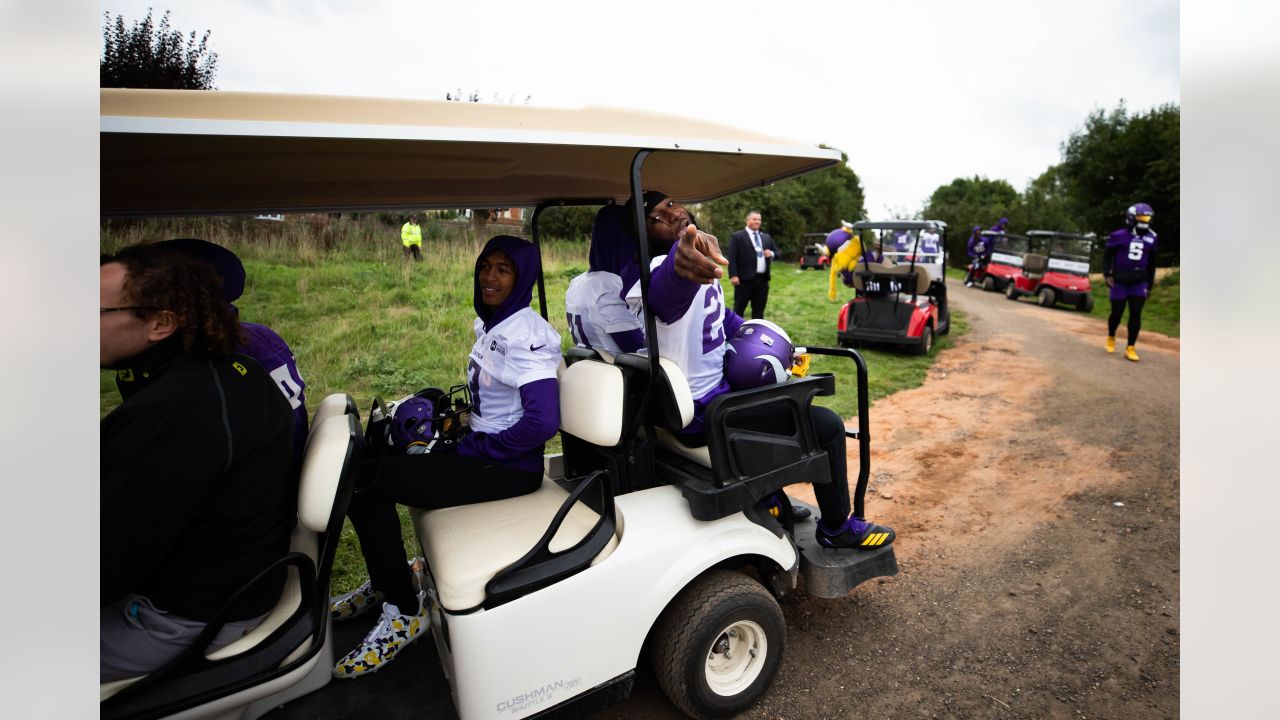 Minnesota Vikings Golf Cart Flag your Minnesota Vikings Golf Cart Flags  Source