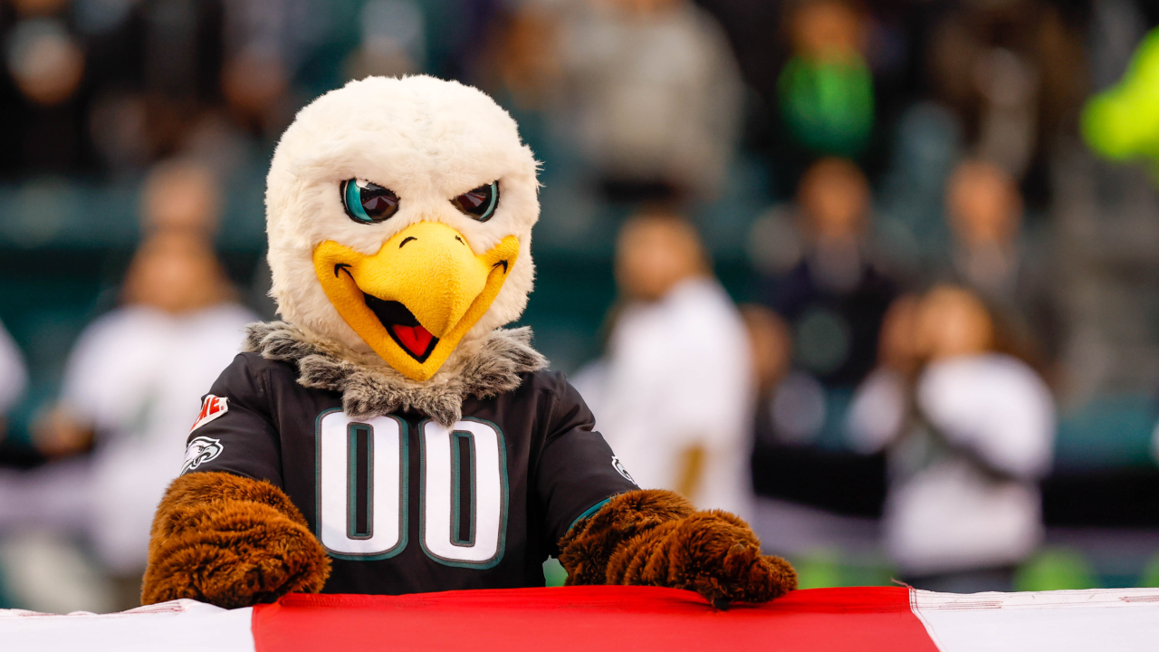 Philadelphia Eagles on X: All SWOOP wants for #NationalMascotDay is to see  you back in the stands this fall. #FlyEaglesFly  / X