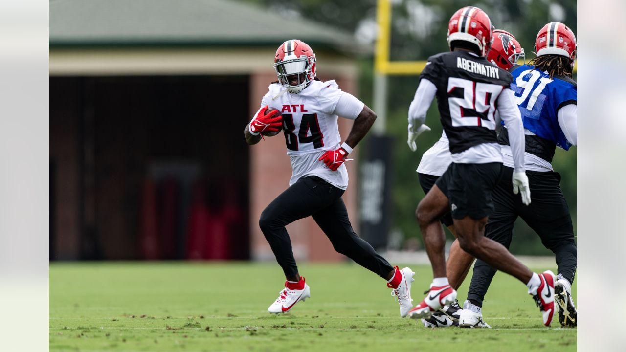 Atlanta Falcons Ticket Runner