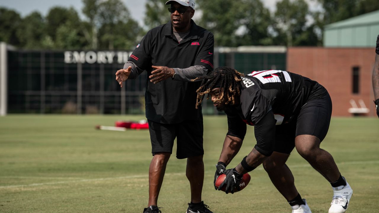 Atlanta Falcons defensive lineman Ta'Quon Graham #95 looks on