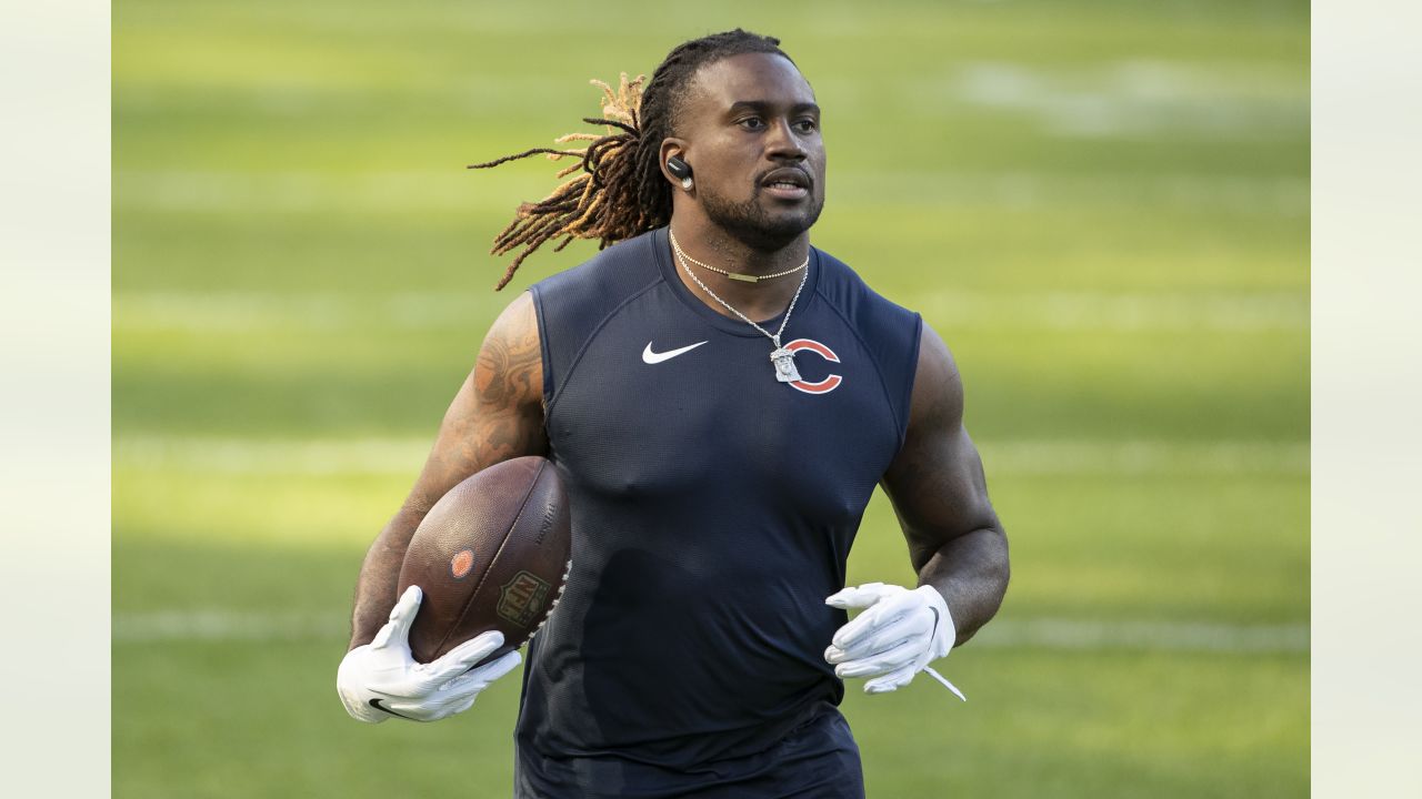 Chicago Bears fans watch during warmups under a Salute To Service sign  before an NFL football game against the Detroit Lions in Chicago, Sunday,  Nov. 13, 2022. (AP Photo/Charles Rex Arbogast Stock